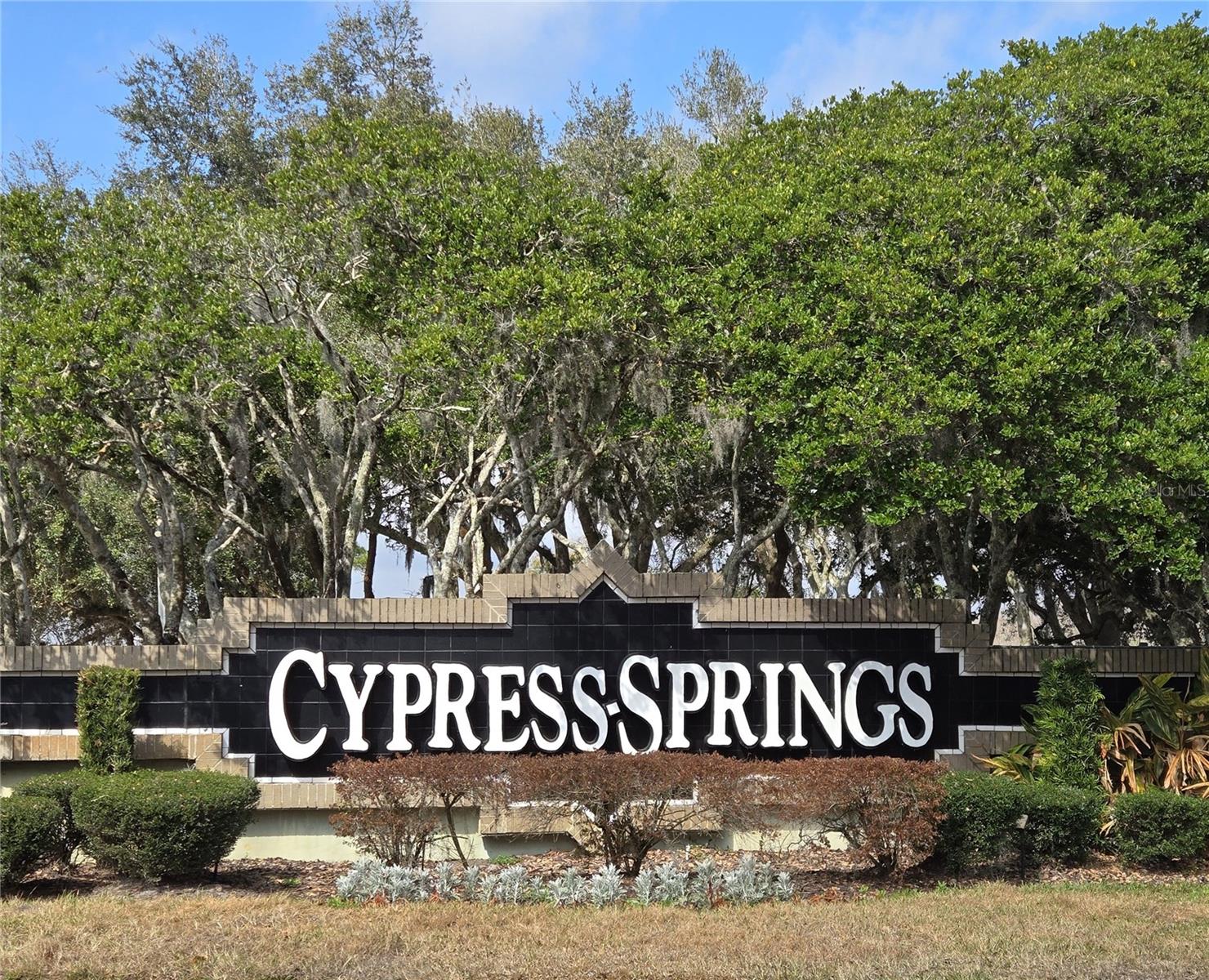 10704 SATINWOOD CIR, ORLANDO, FL, 32825