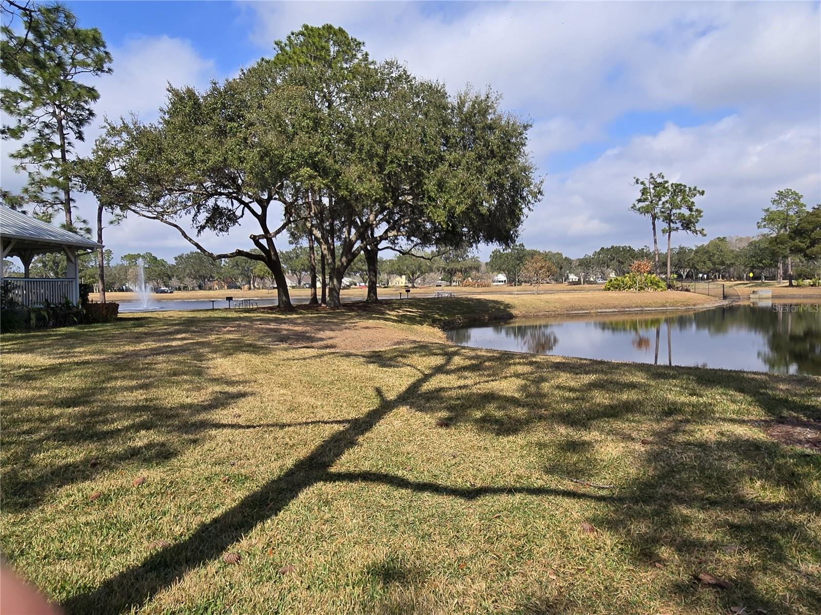 10704 SATINWOOD CIR, ORLANDO, FL, 32825