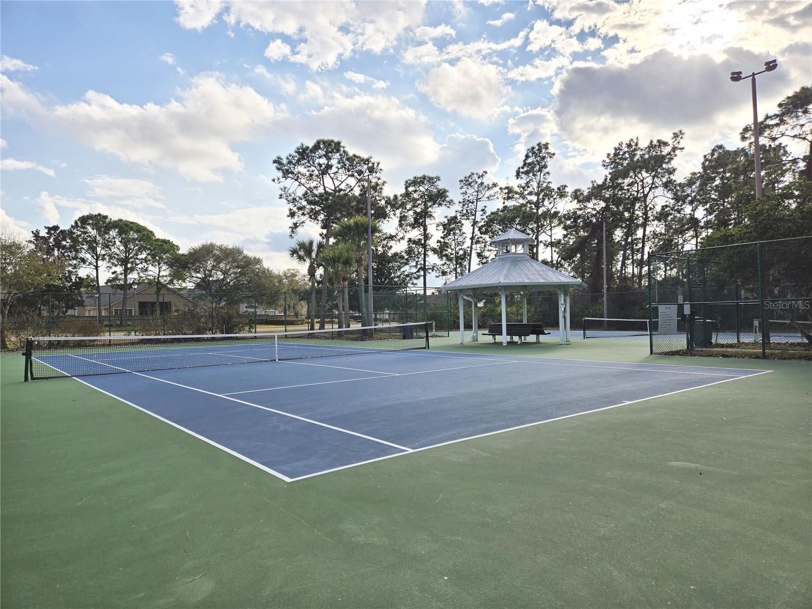 10704 SATINWOOD CIR, ORLANDO, FL, 32825