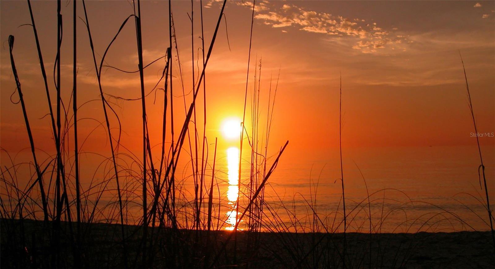 4340 FALMOUTH DR #206, LONGBOAT KEY, FL, 34228