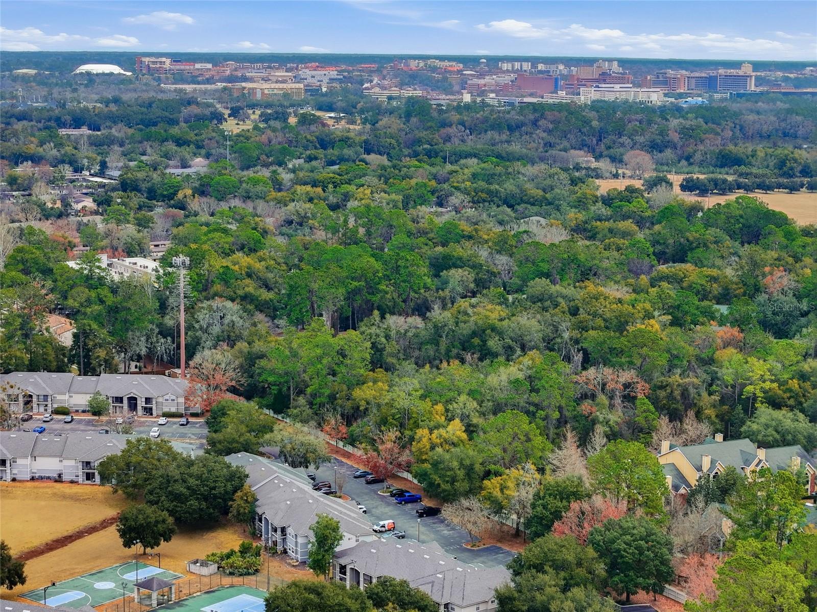 3705 SW 27TH ST #717, GAINESVILLE, FL, 32608