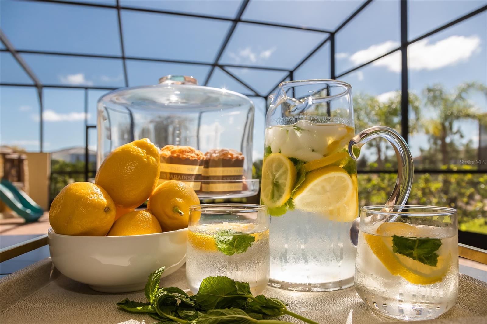 4662 TERRASONESTA DR, DAVENPORT, FL, 33837