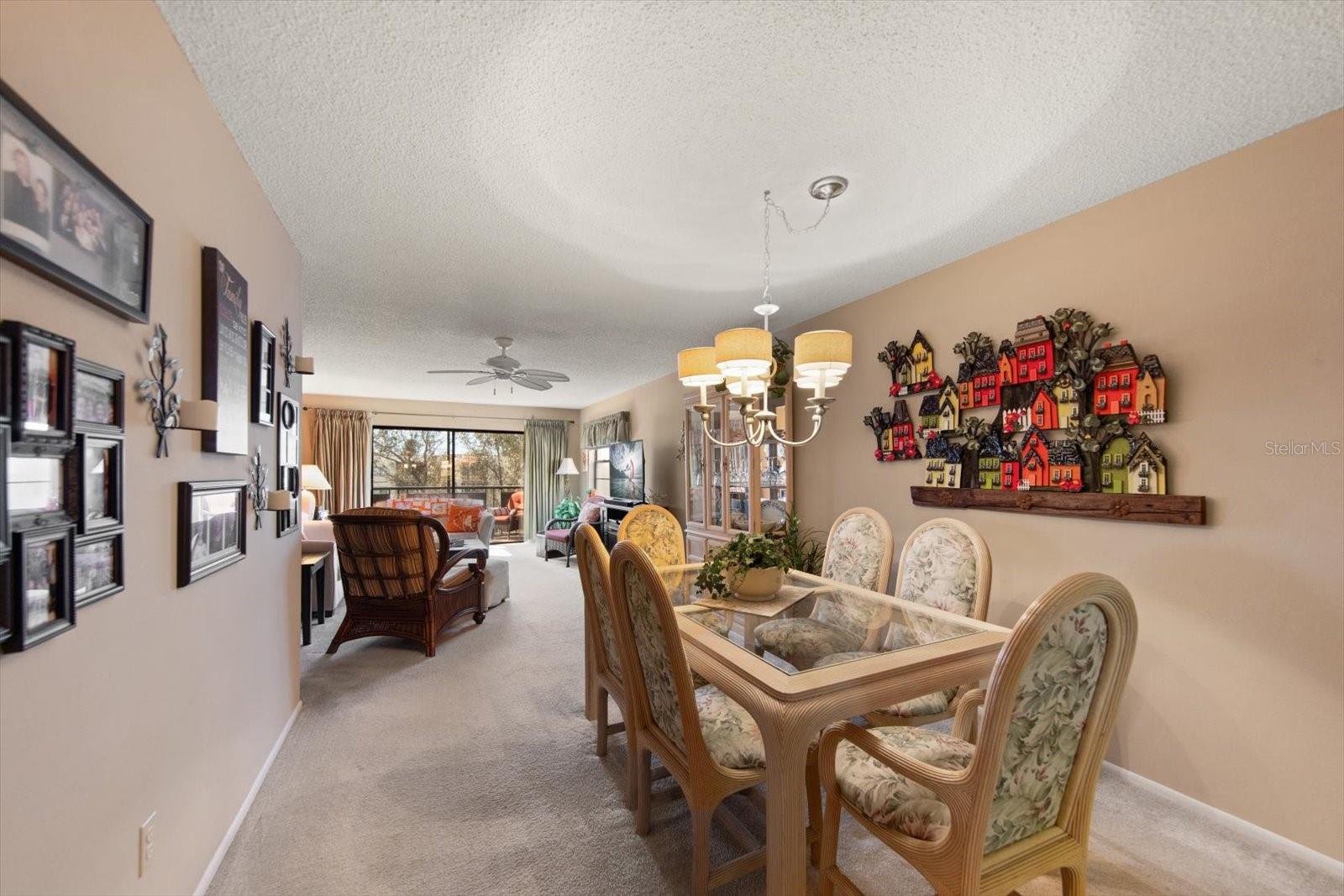 large living room and dining room combination