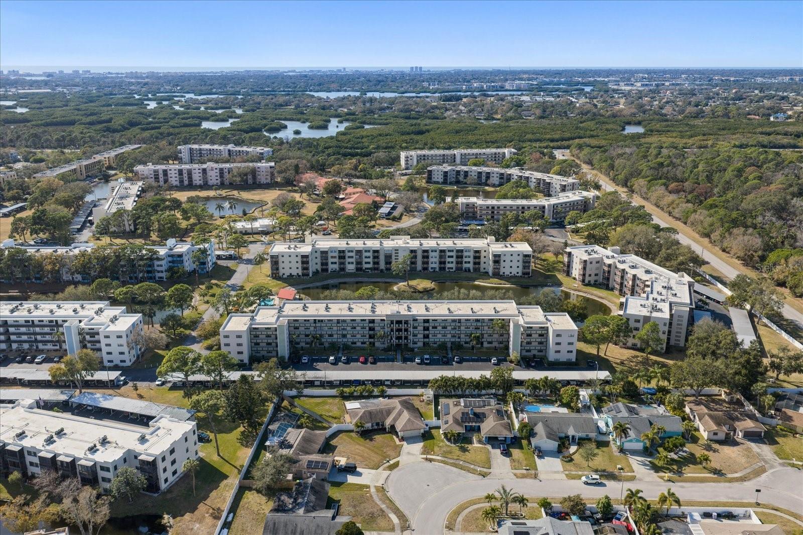 Aerial of Madison Building with Pond
