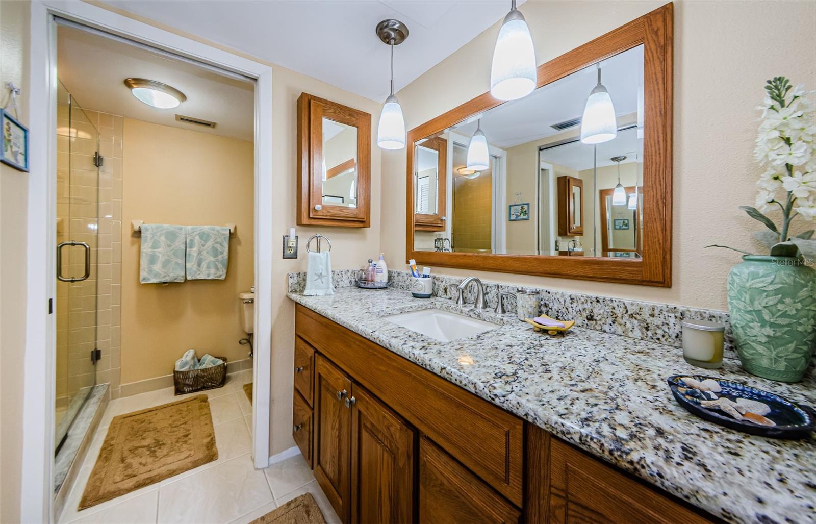 2700 BAYSHORE BLVD #11307, DUNEDIN, FL, 34698