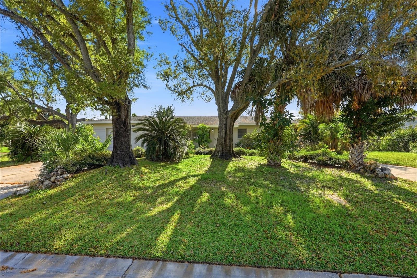 3391 WALNUT ST NE, ST PETERSBURG, FL, 33704