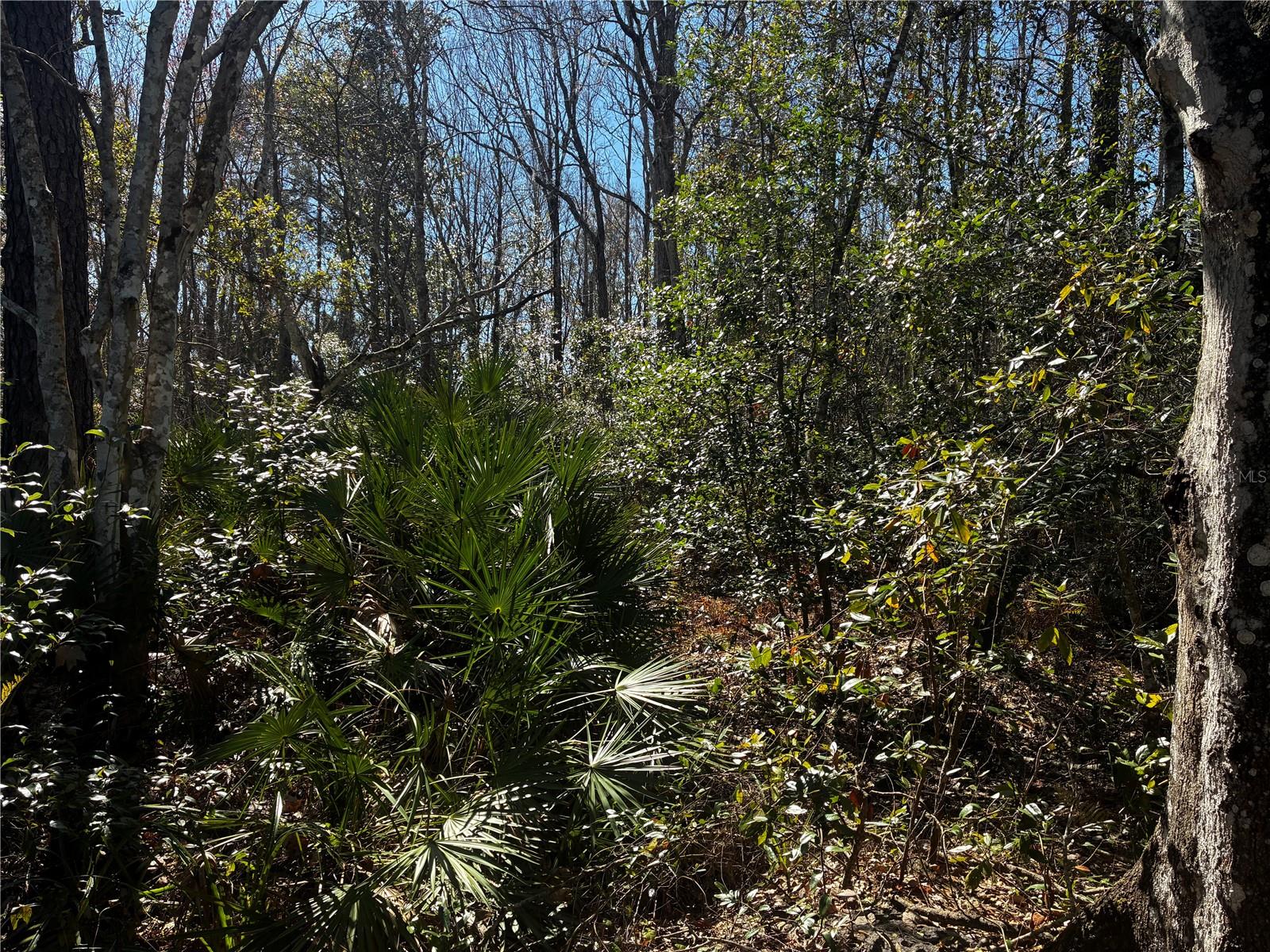 1214 MURDOCK BLVD, ORLANDO, FL, 32825