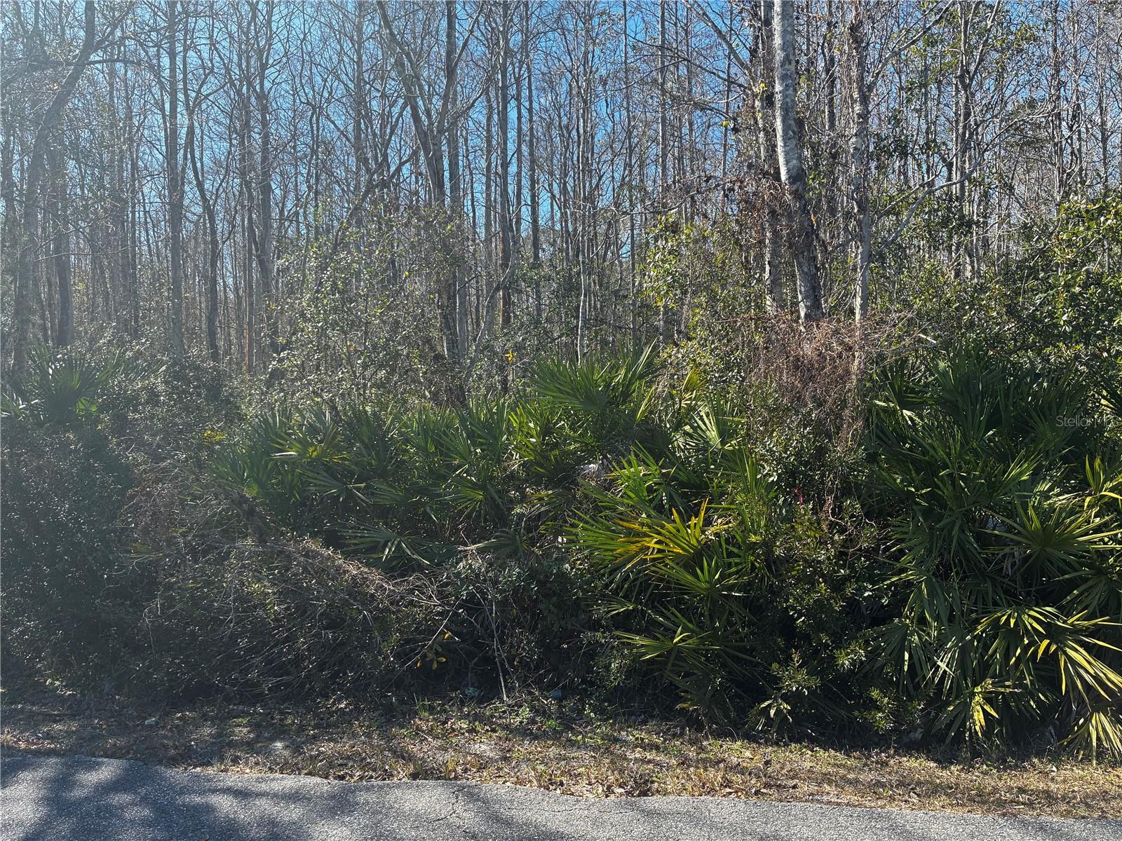 1214 MURDOCK BLVD, ORLANDO, FL, 32825