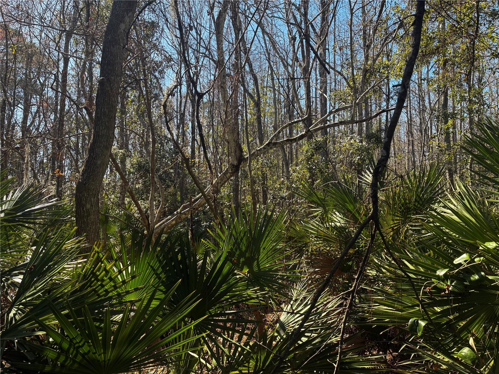 1214 MURDOCK BLVD, ORLANDO, FL, 32825