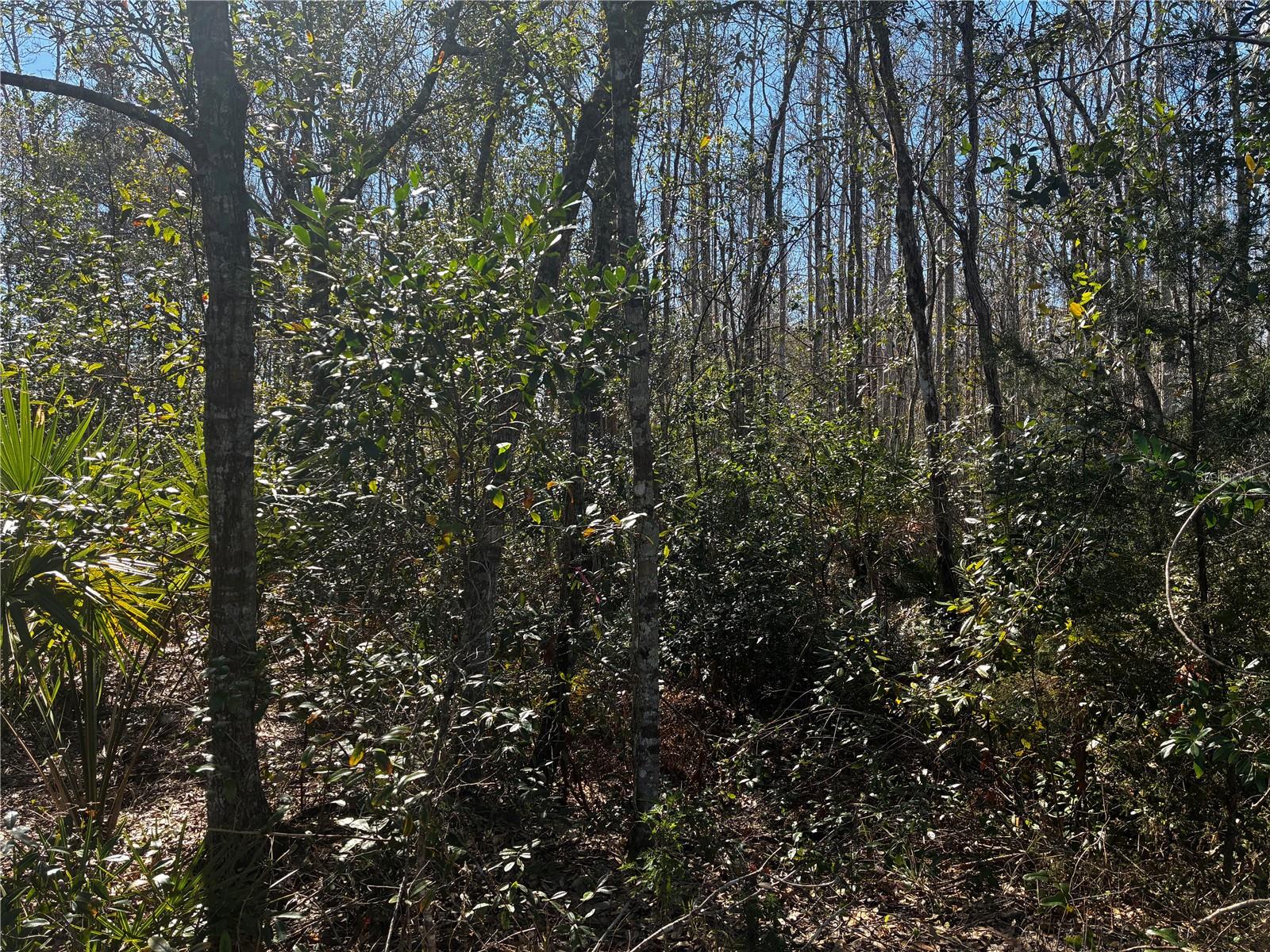 1214 MURDOCK BLVD, ORLANDO, FL, 32825