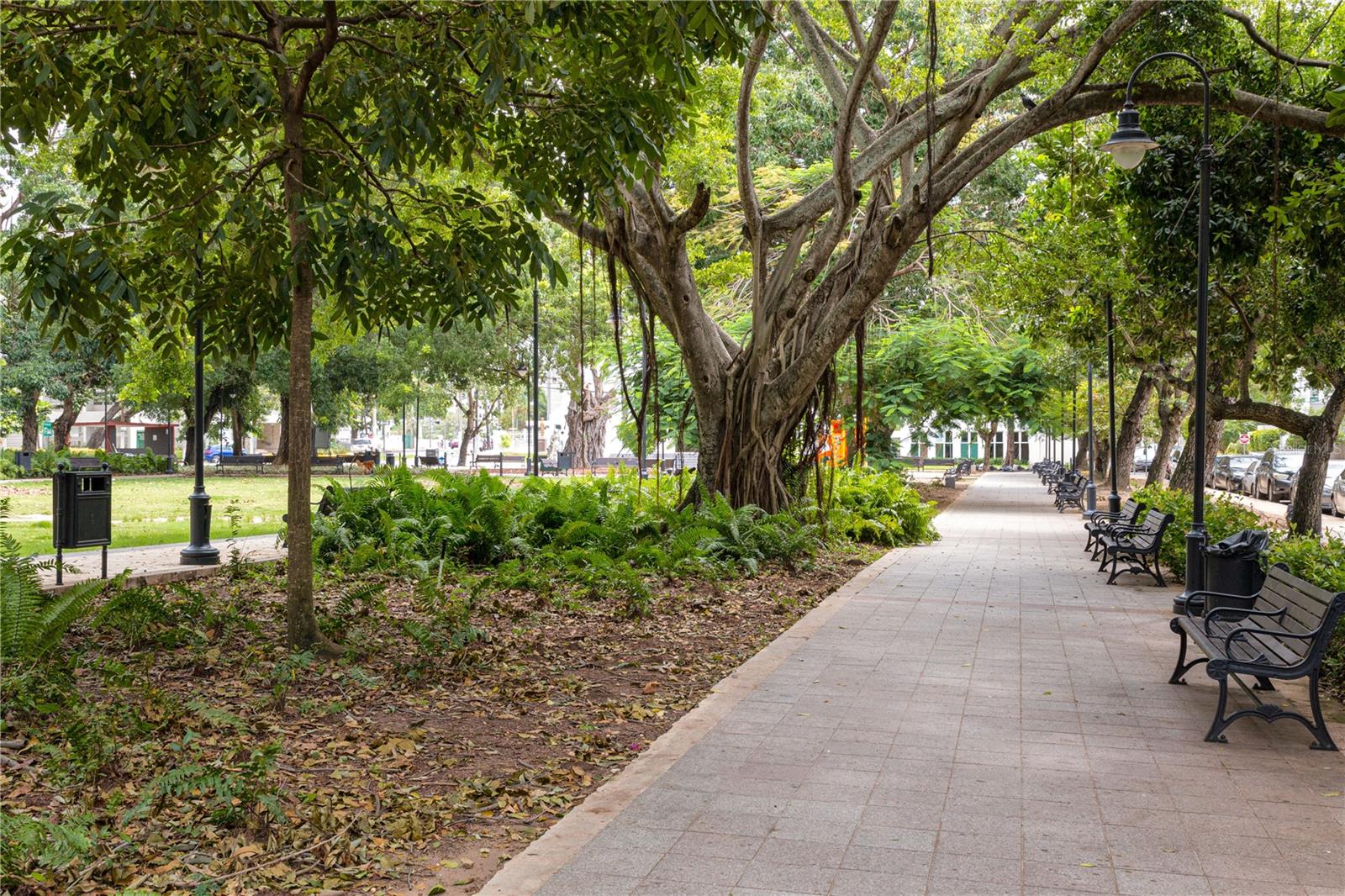 PR9119357 Property Photo