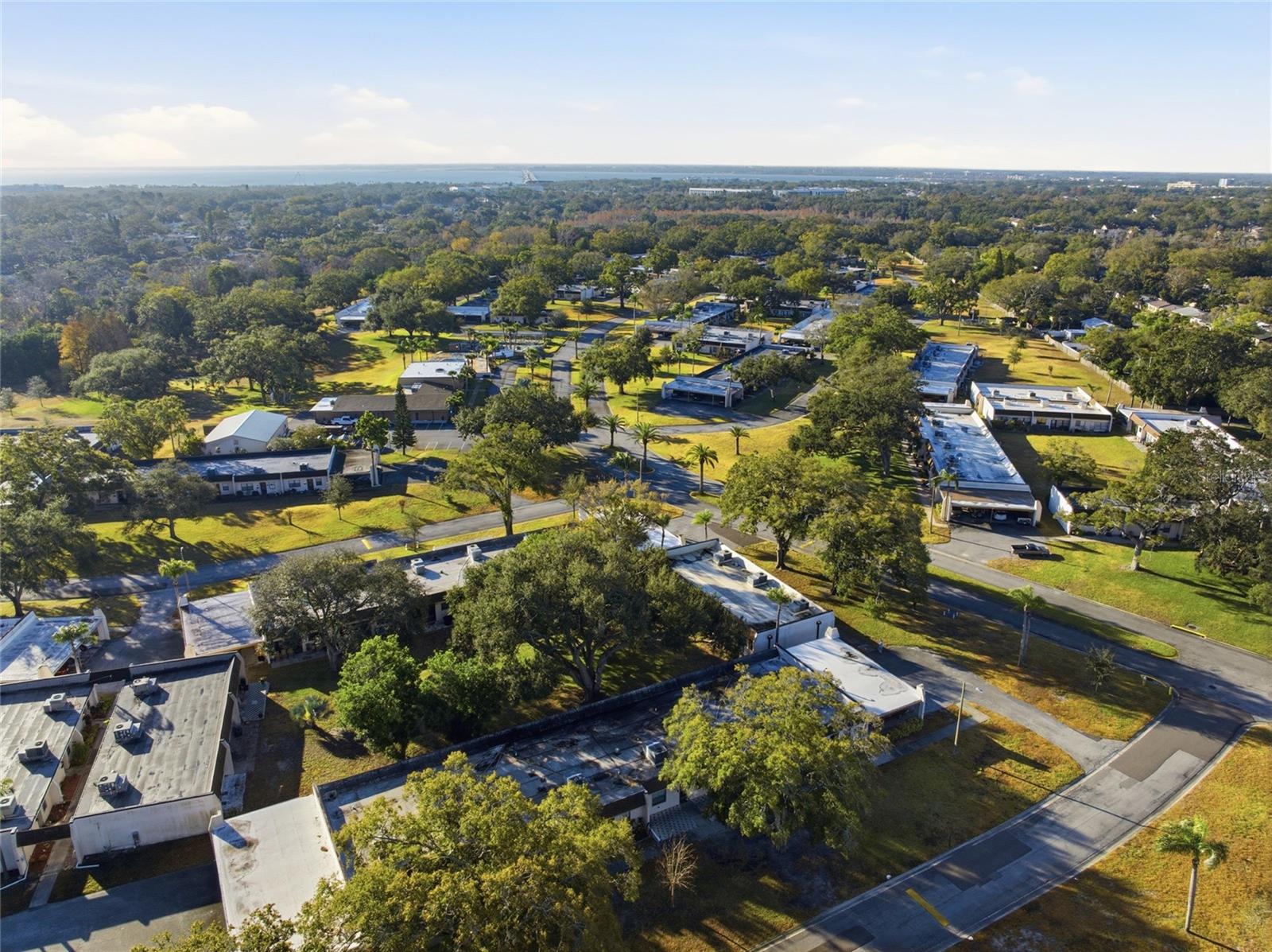 2935 FEATHER DR #65-D, CLEARWATER, FL, 33759