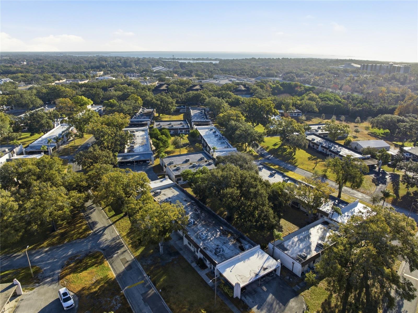 2935 FEATHER DR #65-D, CLEARWATER, FL, 33759