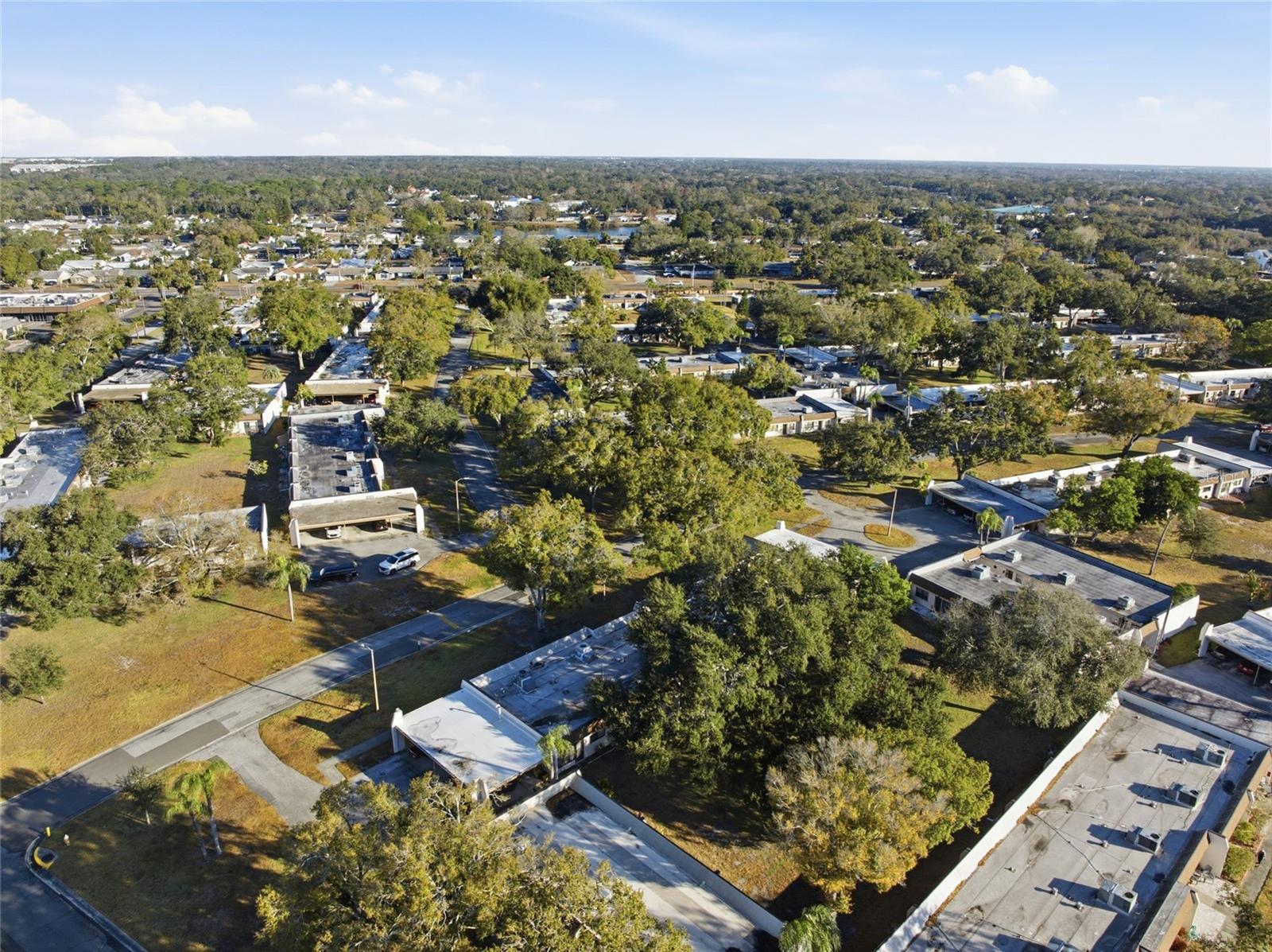 2935 FEATHER DR #65-D, CLEARWATER, FL, 33759