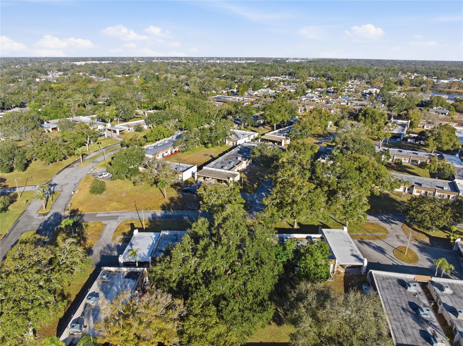 2935 FEATHER DR #65-D, CLEARWATER, FL, 33759