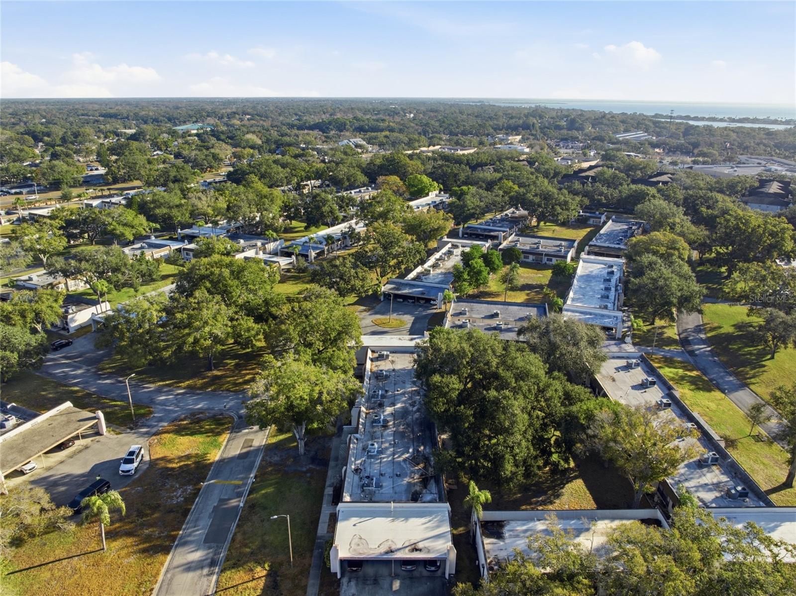 2935 FEATHER DR #65-D, CLEARWATER, FL, 33759