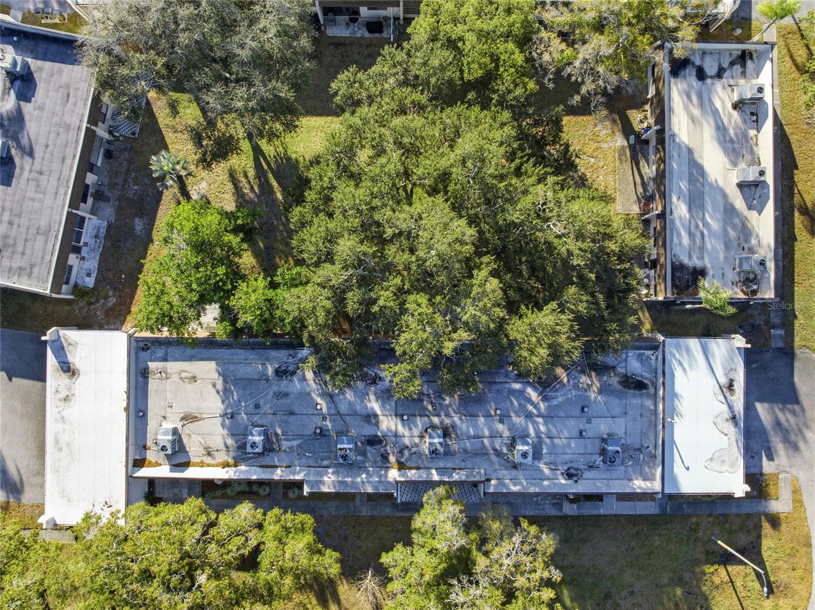 2935 FEATHER DR #65-D, CLEARWATER, FL, 33759