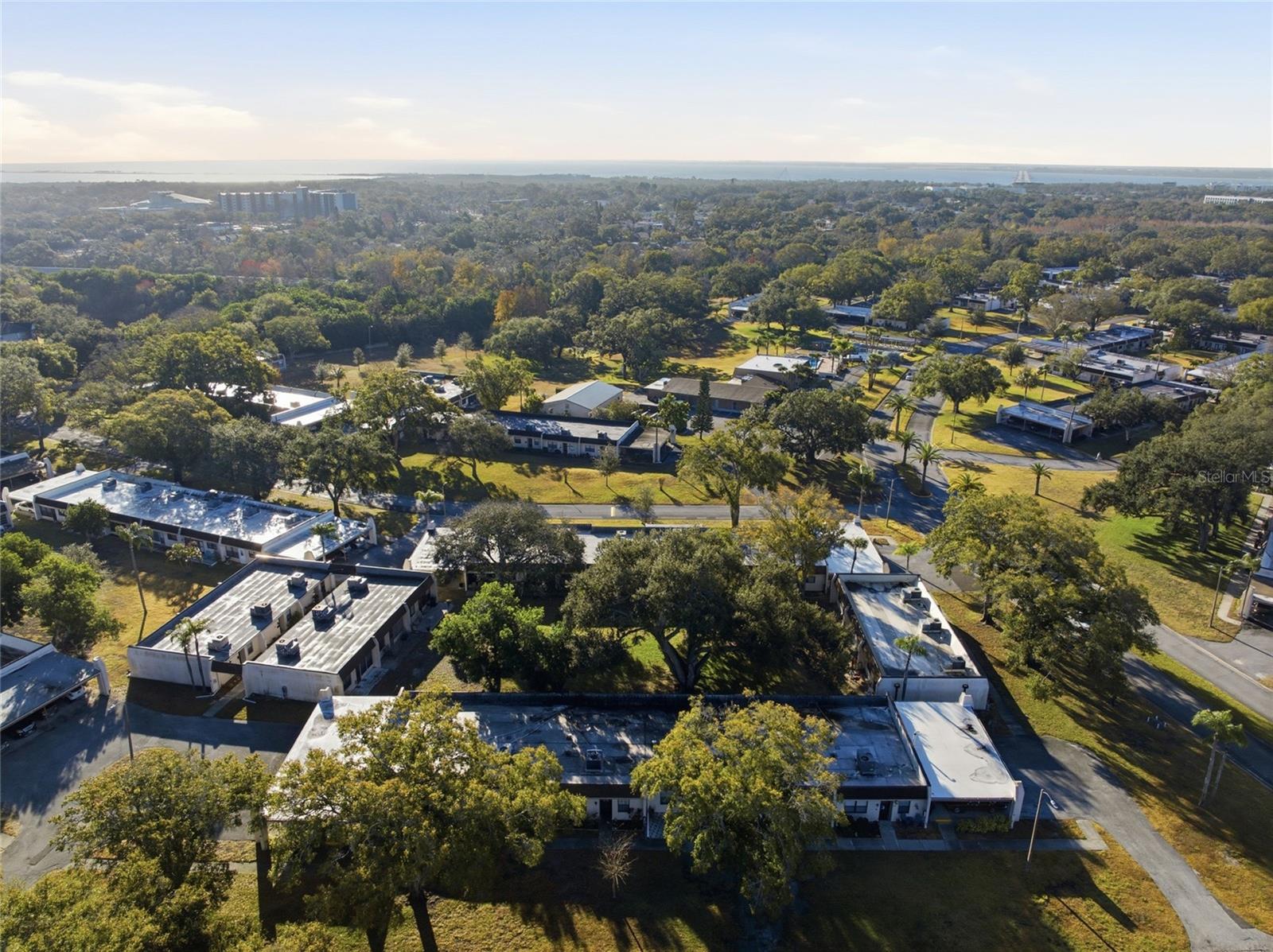 2935 FEATHER DR #65-D, CLEARWATER, FL, 33759