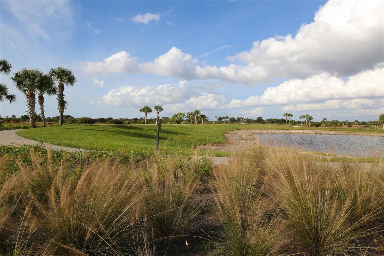 24273 SPARTINA DR, VENICE, FL, 34293