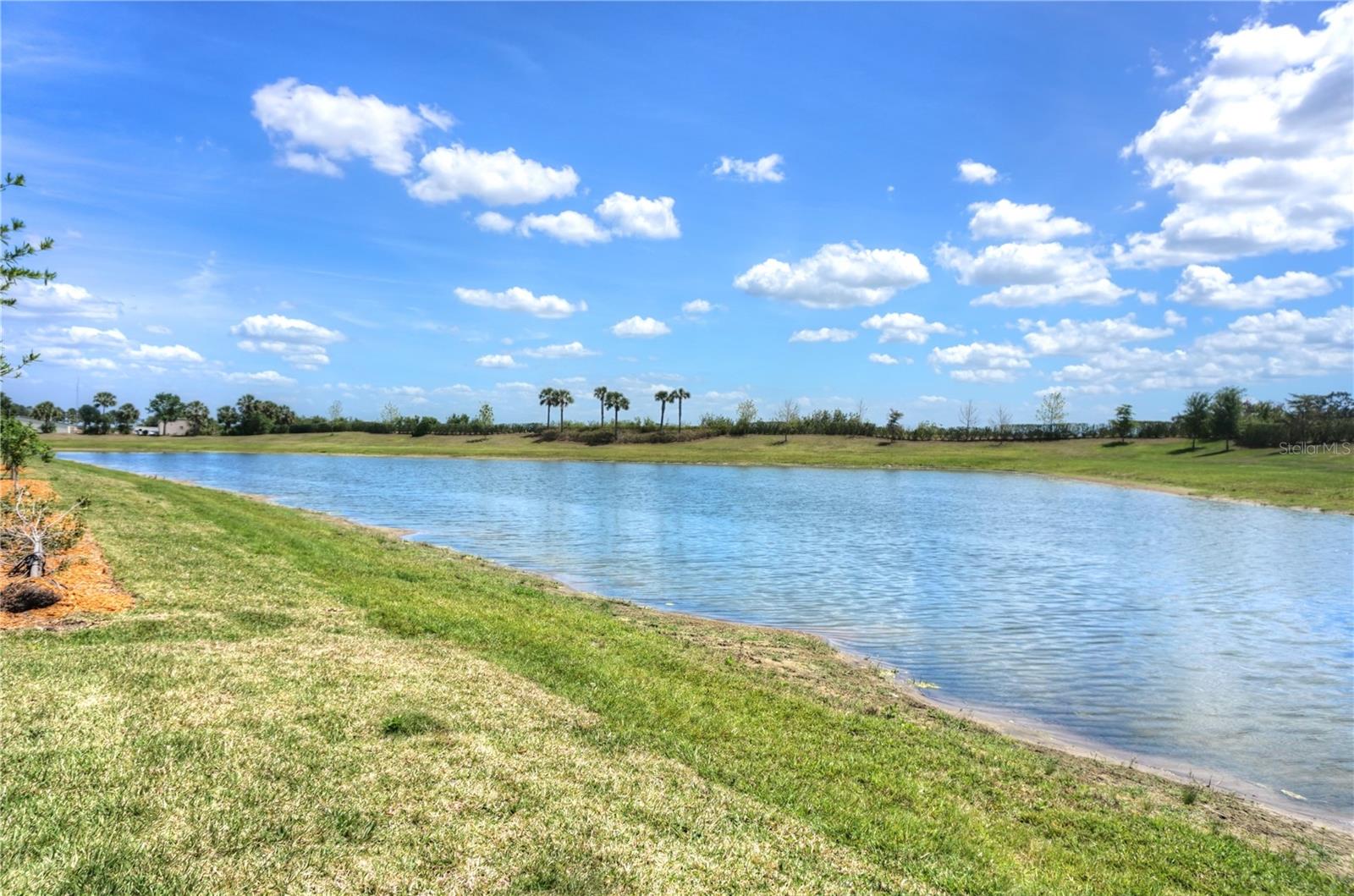 24273 SPARTINA DR, VENICE, FL, 34293