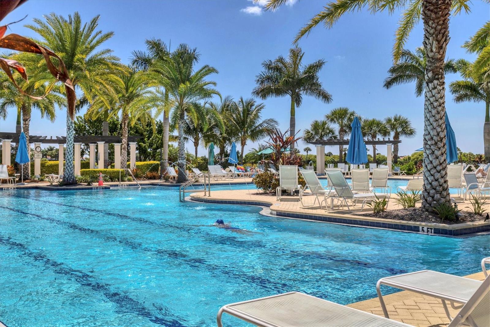 24273 SPARTINA DR, VENICE, FL, 34293