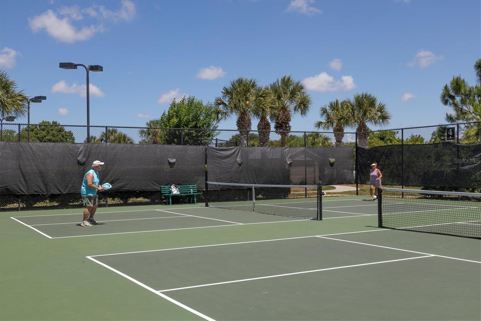 24273 SPARTINA DR, VENICE, FL, 34293