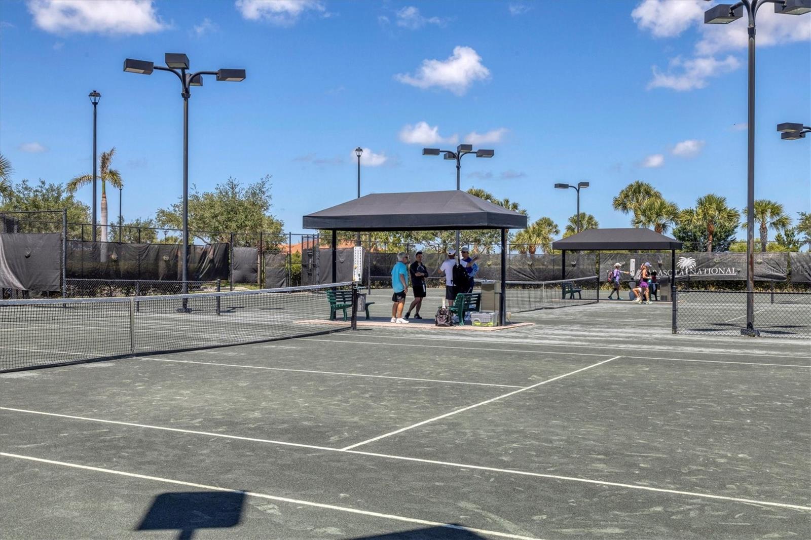 24273 SPARTINA DR, VENICE, FL, 34293