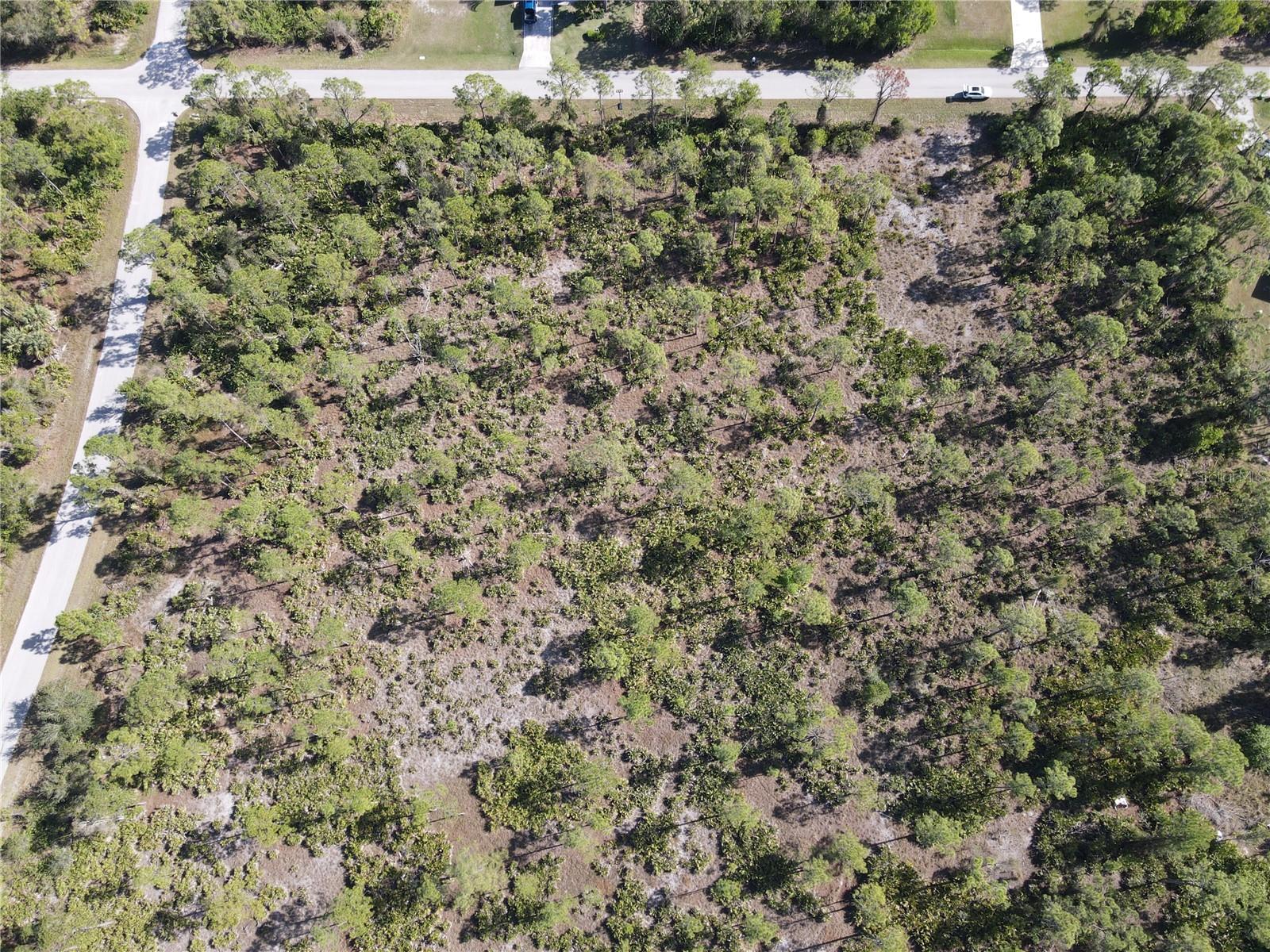 12421 MINNESOTA AVE, PUNTA GORDA, FL, 33955