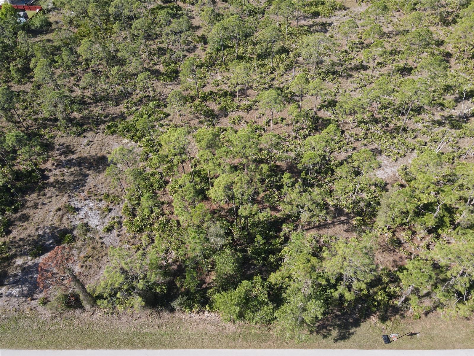 12421 MINNESOTA AVE, PUNTA GORDA, FL, 33955