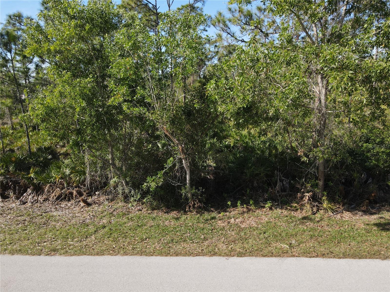 12421 MINNESOTA AVE, PUNTA GORDA, FL, 33955