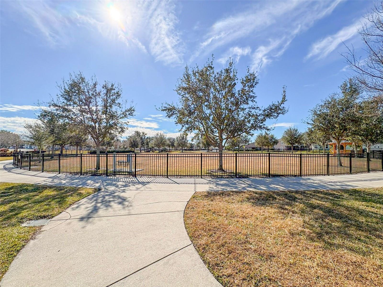 6720 GREAT BEAR DR, LAKELAND, FL, 33805