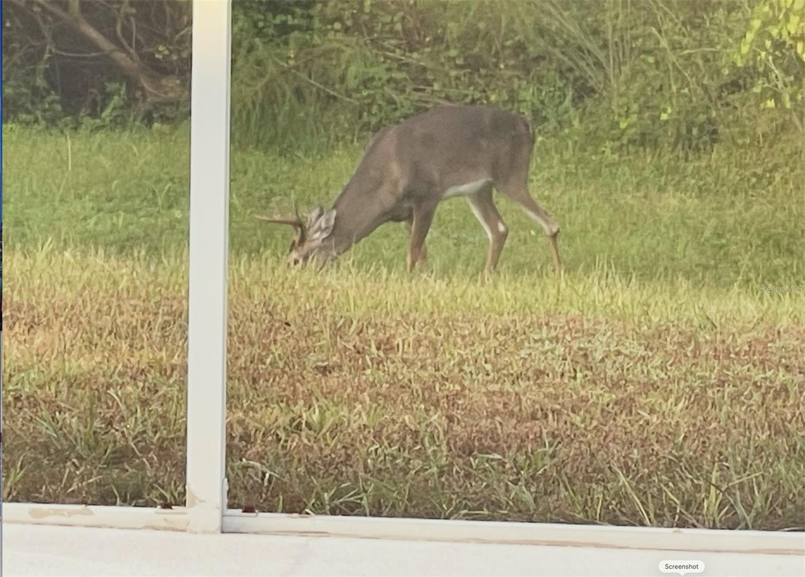 1951 TARRAGON LN, NEW PORT RICHEY, FL, 34655