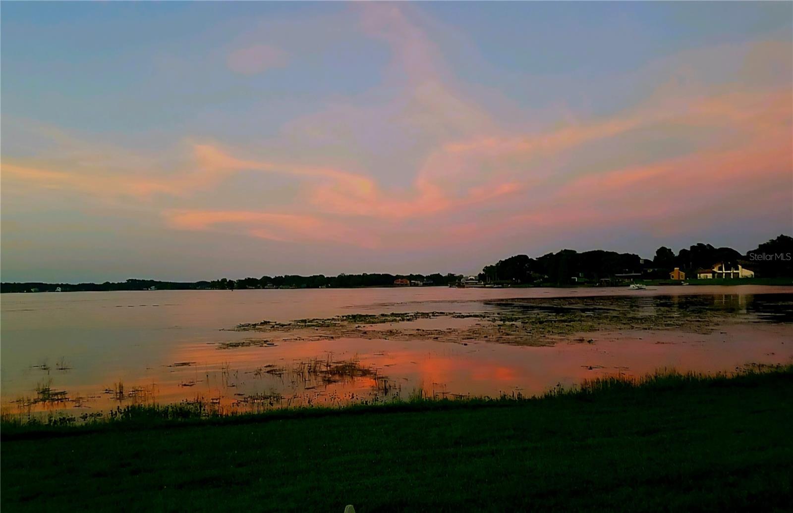 Lake View from Patio