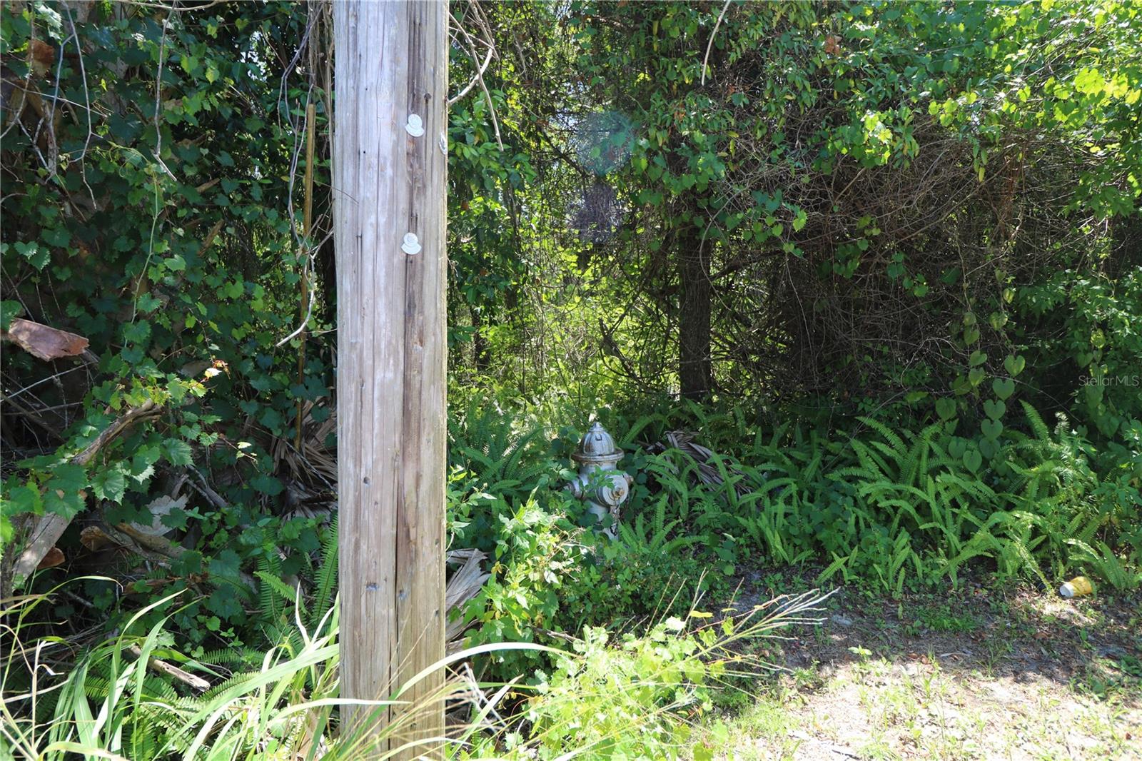 0 E FRANKLIN ST, OVIEDO, FL, 32765