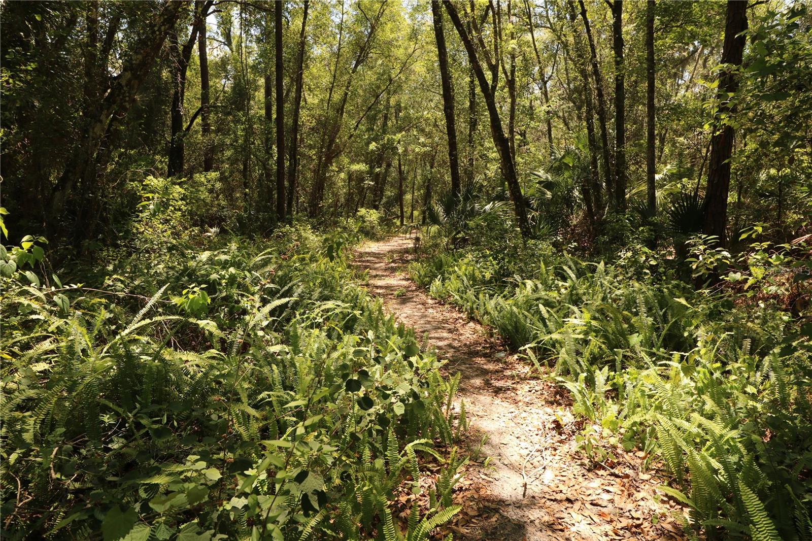 0 E FRANKLIN ST, OVIEDO, FL, 32765