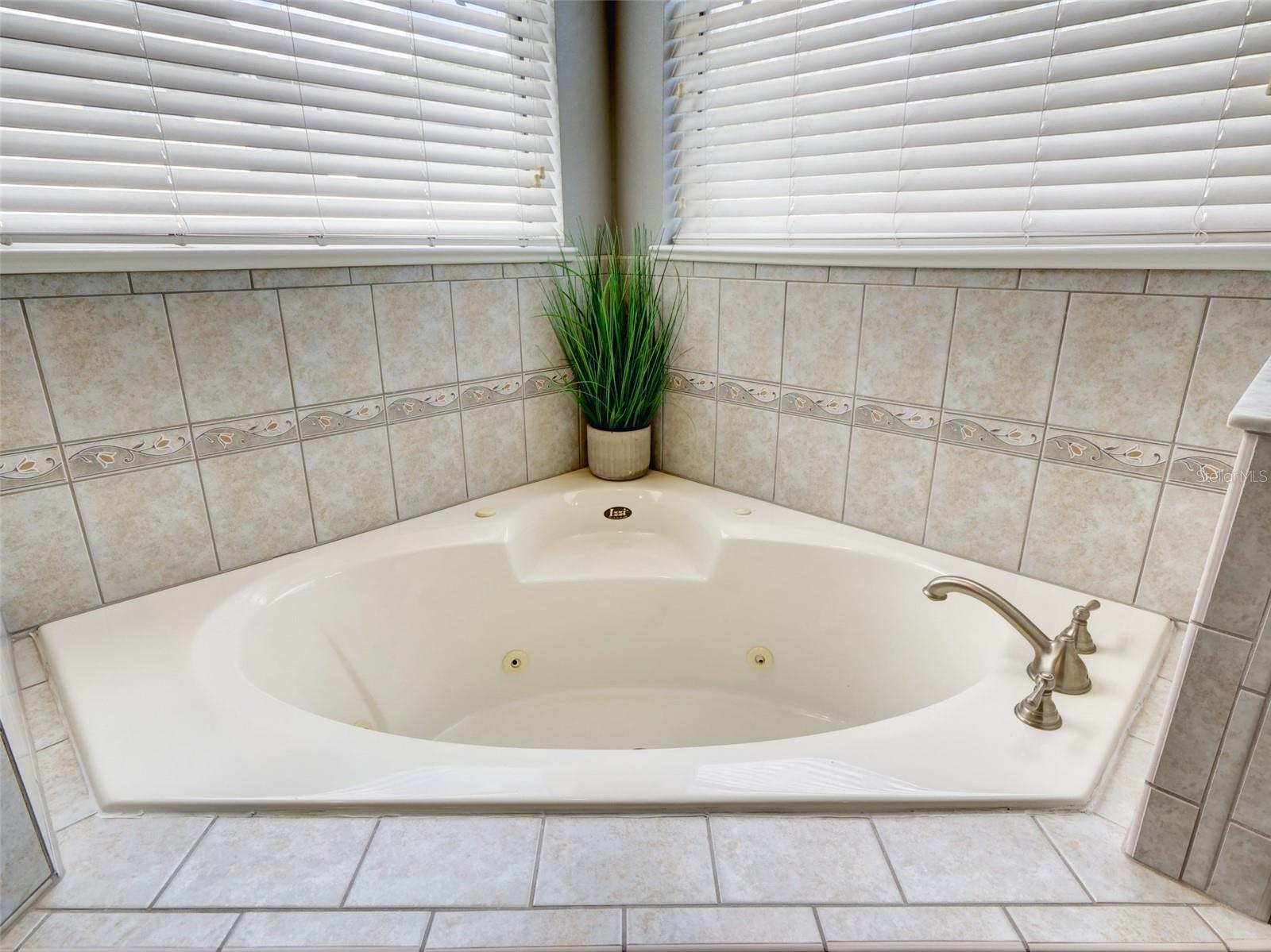 1450 MERION DR, MOUNT DORA, FL, 32757