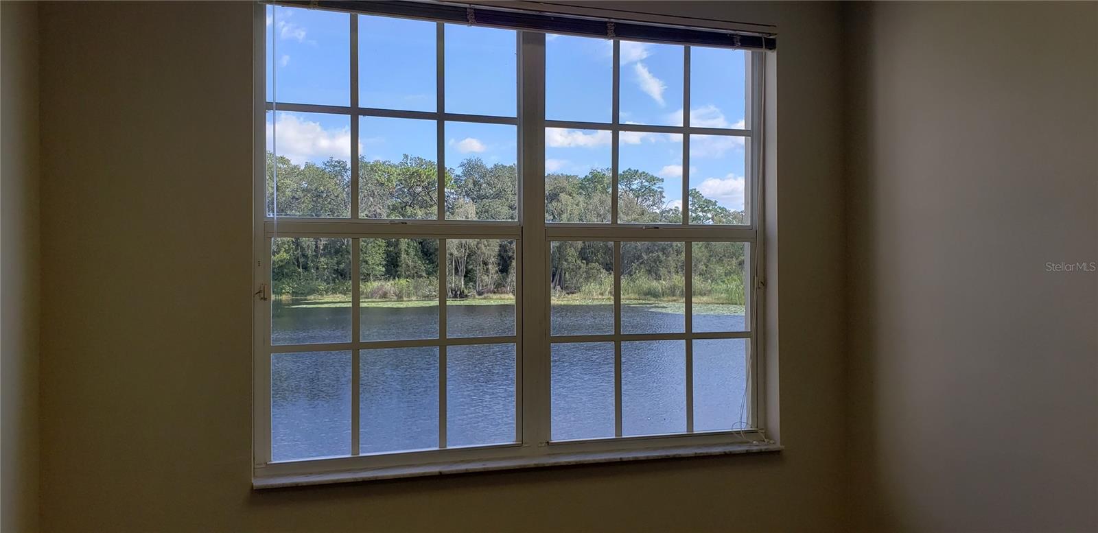 16013 N FLORIDA AVE, LUTZ, FL, 33549