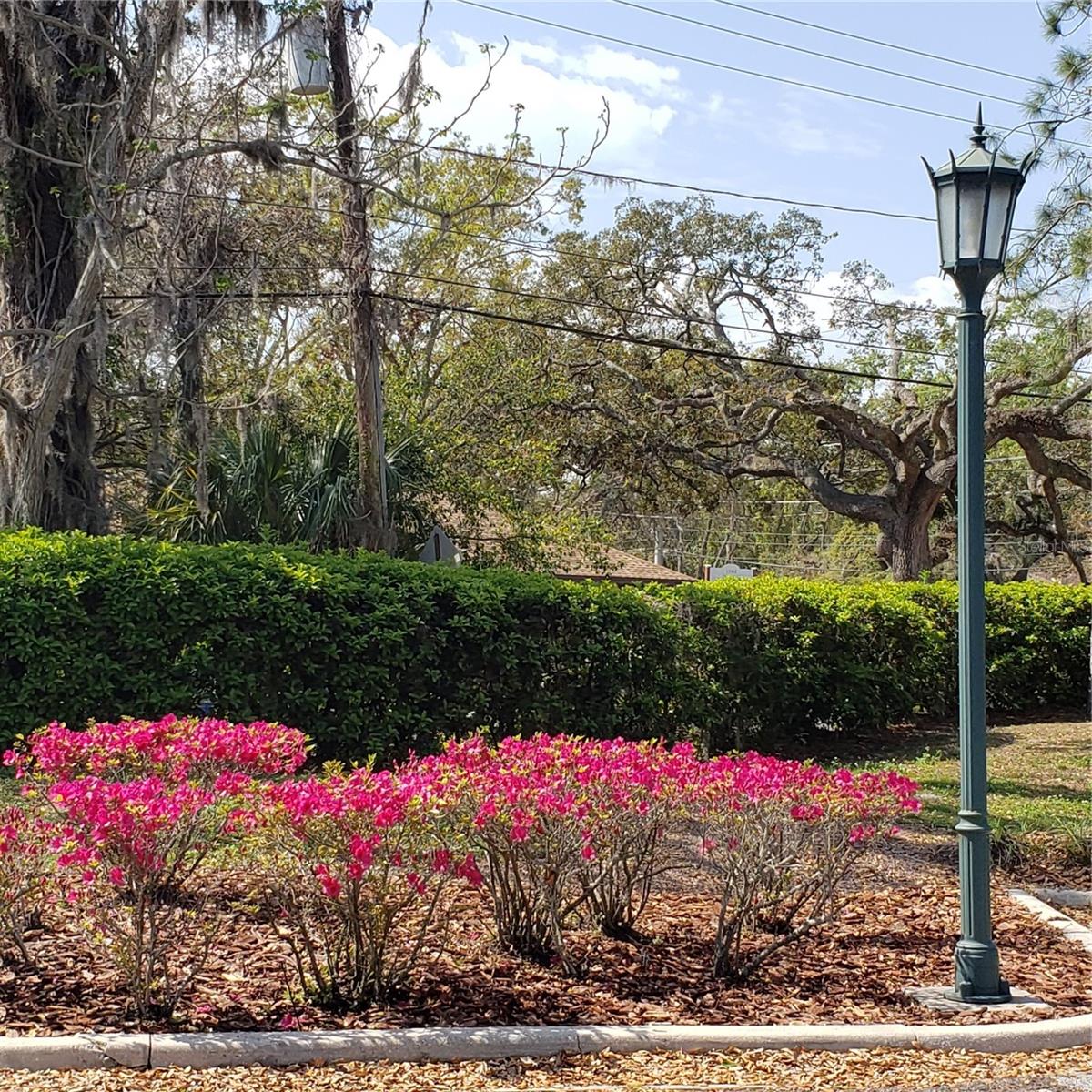 16013 N FLORIDA AVE, LUTZ, FL, 33549