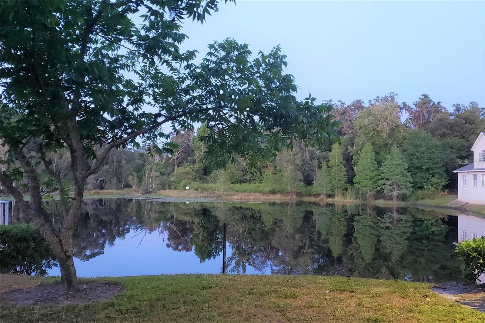 16013 N FLORIDA AVE, LUTZ, FL, 33549