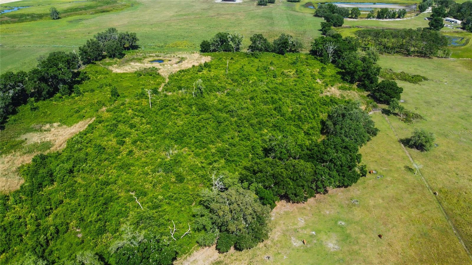 SE 51ST LANE, CENTER HILL, FL, 33514