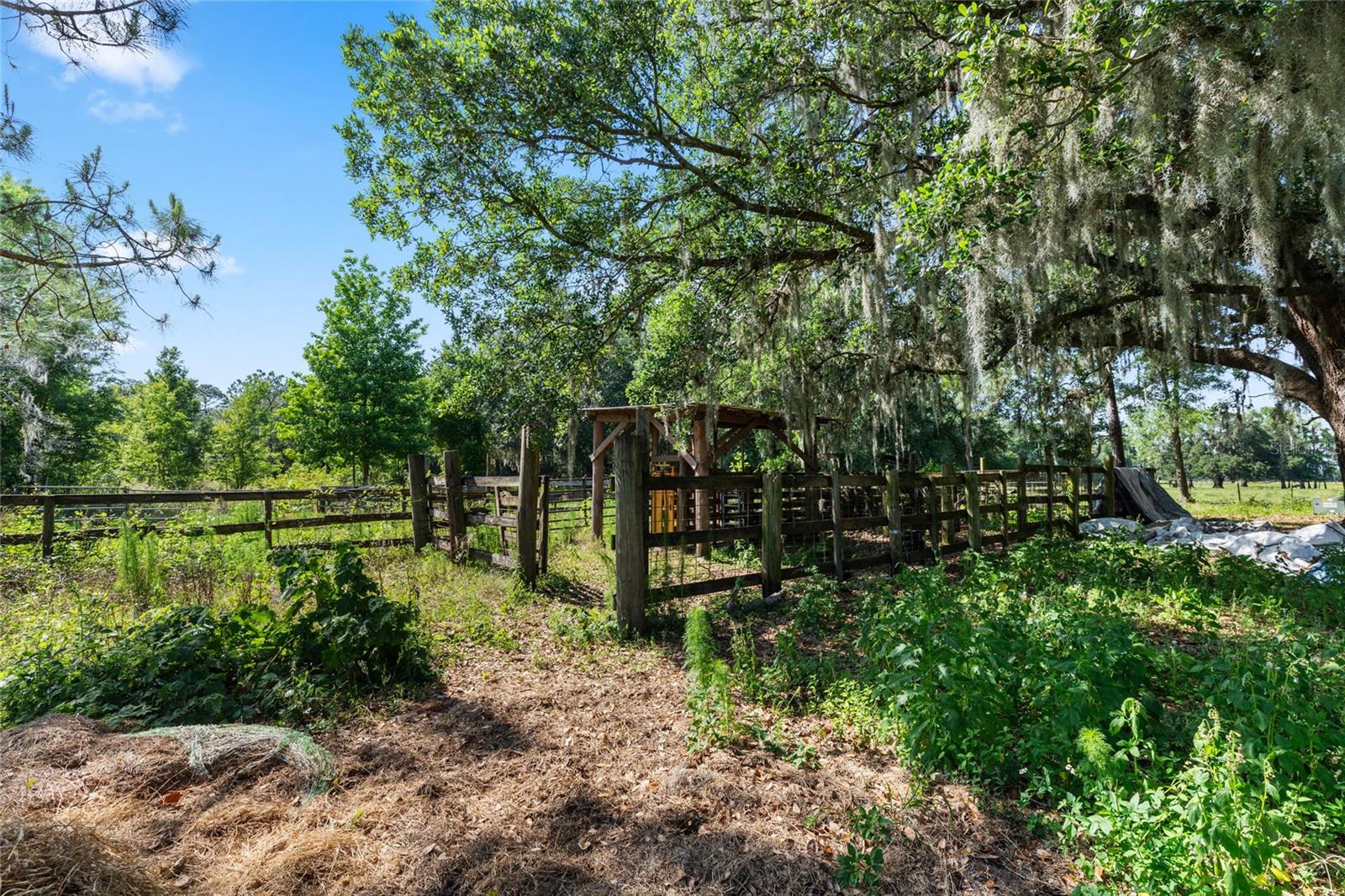 SE 51ST LANE, CENTER HILL, FL, 33514
