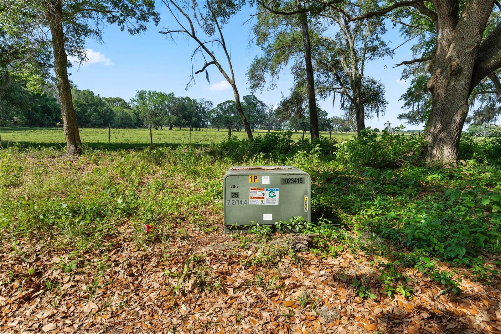 SE 51ST LANE, CENTER HILL, FL, 33514