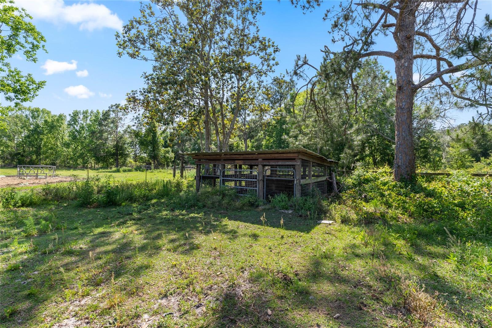 SE 51ST LANE, CENTER HILL, FL, 33514