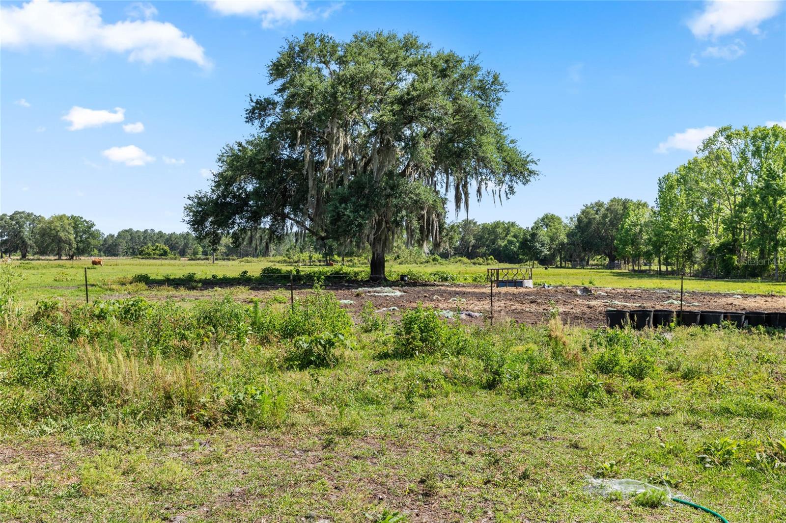 SE 51ST LANE, CENTER HILL, FL, 33514