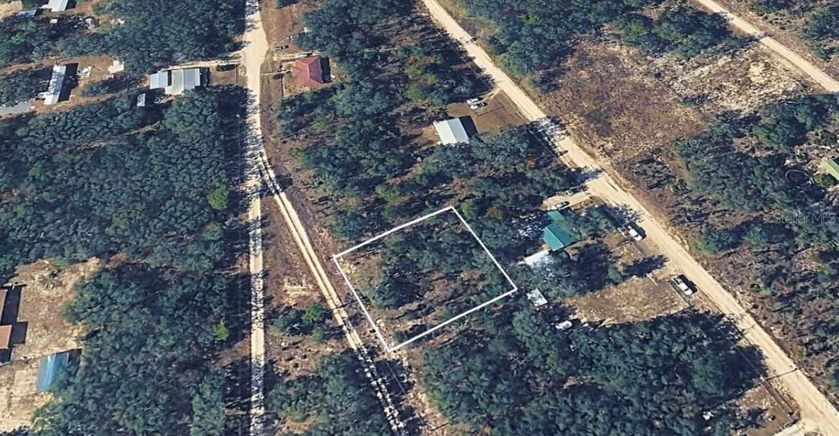 NE 61ST LN, WILLISTON, FL, 32696