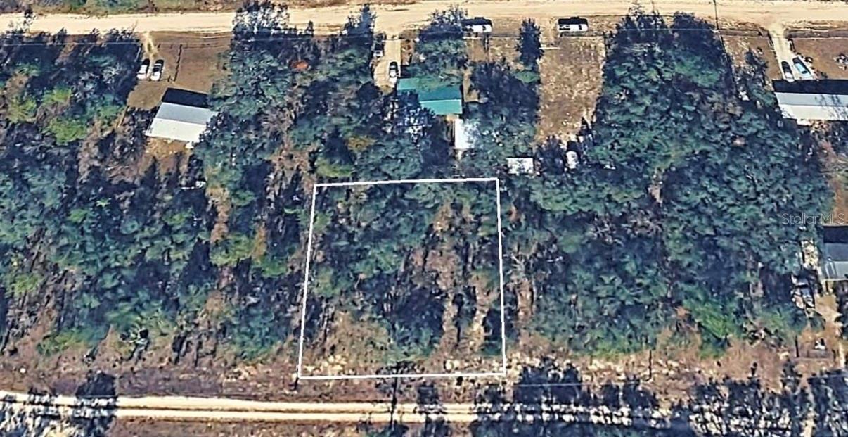 NE 61ST LN, WILLISTON, FL, 32696