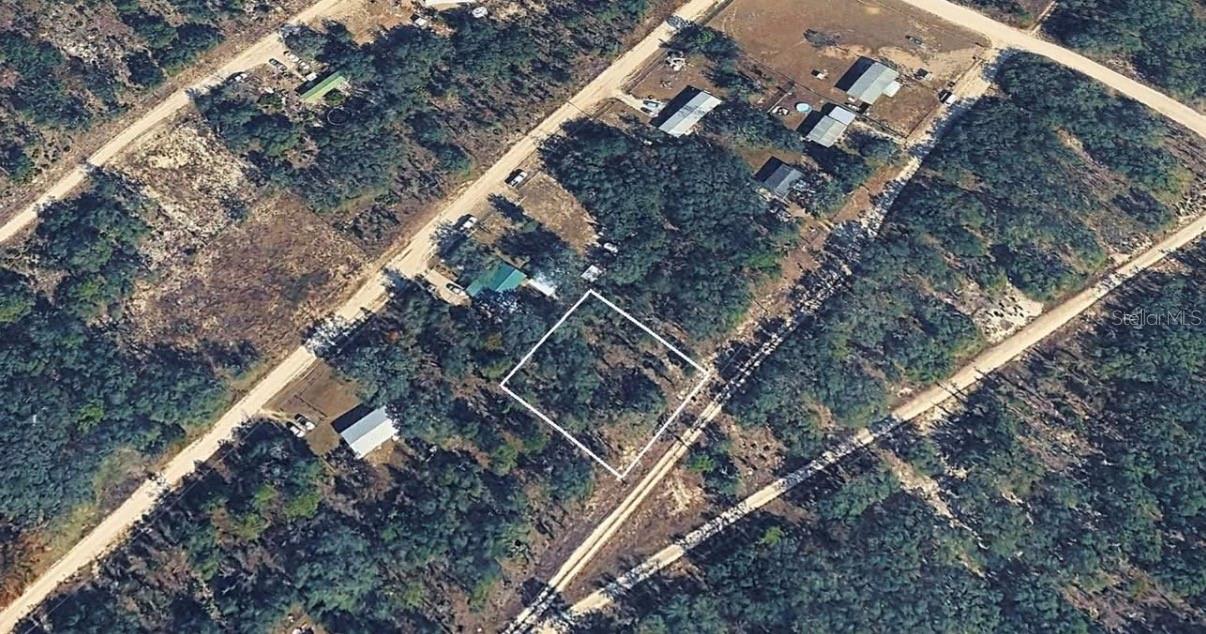 NE 61ST LN, WILLISTON, FL, 32696