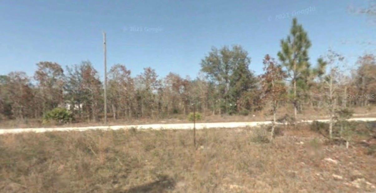 NE 61ST LN, WILLISTON, FL, 32696