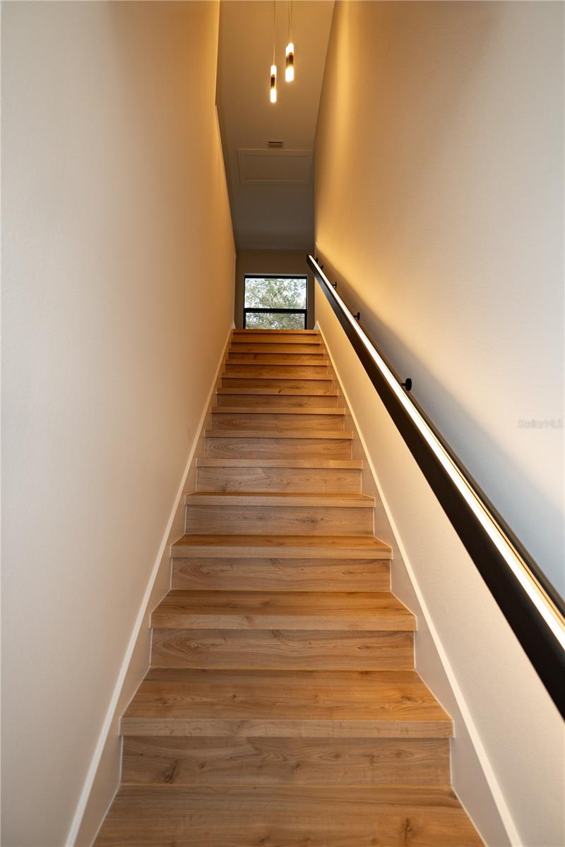 12905 WORCHESTER AVE, TAMPA, FL, 33624