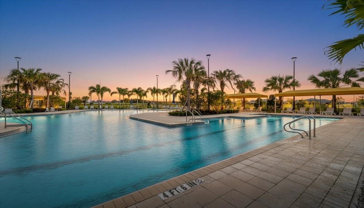 10336 TRUMPET HONEYSUCKLE WAY, SAN ANTONIO, FL, 33576